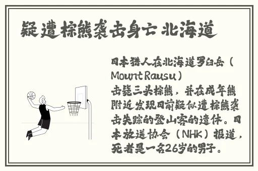 上色软件免费看